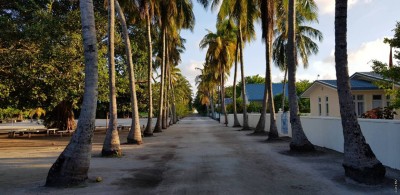 ކުޑަ ދެކުއްޖަކަށް ޖިންސީގޯނާކުރުމުގެ ތުހުމަތުގައި މީހަކު ހައްޔަރުކޮށްފި