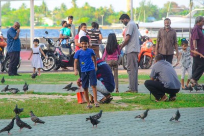ބައިބައިވުމަކީ މުޖްތަމައު ނިކަމެތިވެ، ބަލިކަށި ވާނެ ކަމެއް: ހުތުބާ