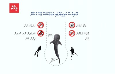 ފެހުރިހި ދައްކަން ޓޫރިސްޓުން ތޮއްޖައްސަނީ!