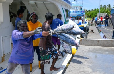 މިފްކޯ މުށުތެރެއިން ދޫކޮށްލާ، އެހެން ނޫނީ ނަތީޖާ ރަނގަޅެއް ނުވާނެ!