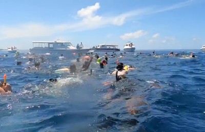 ފެހުރިހި ދައްކަން ޓޫރިސްޓުން ތޮއްޖައްސަނީ!