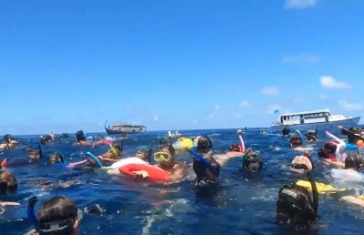 ފެހުރިހި ދައްކަން ޓޫރިސްޓުން ތޮއްޖައްސަނީ!