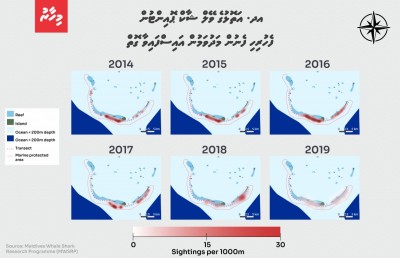 ފެހުރިހި ދައްކަން ޓޫރިސްޓުން ތޮއްޖައްސަނީ!