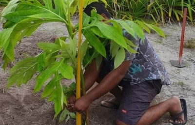 އައްޑޫގެ ހުސް ބިންތައް ހުއްދައަކާ ނުލައި ބޭނުންކުރާ ކަމަށް ބުނެ ކައުންސިލްގެ އިންޒާރެއް