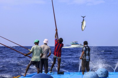 މަސްވެރިކަމަށް ބިދޭސީން: ދެން ފެންނާނީ ކޮންކަހަލަ ބަދަލެއް؟