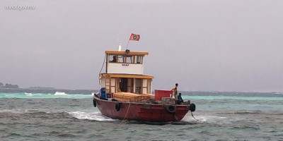 މުދާއުފުލާ ދޯންޏެއް ފަރަކަށް އަރައިފި