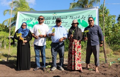 "ދިވެހި އަލަ"އިގެ ނިމުން، ދަނޑުވެރިންގެ ހައްލު އެފްރިކާއިން؟