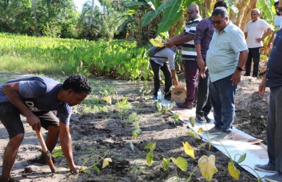 "ދިވެހި އަލަ"އިގެ ނިމުން، ދަނޑުވެރިންގެ ހައްލު އެފްރިކާއިން؟