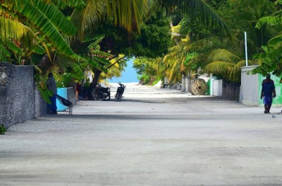 ފިޔޯރީގައި ޖެޓީ މަތިން ވެއްޓި މީހަކު ނިޔާވެއްޖެ
