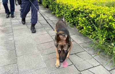 ޓެރަރިޒަމްގެ އޮޕަރޭޝަންތަކަށް ހާއްސަ ކުއްތާތަކެއް ގެނެސްފި