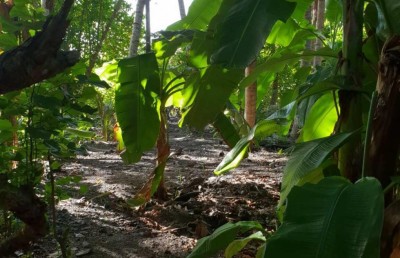 މާޅެންދޫ އަންހެނަކަށް މީހަކު ގޯނާކުރާތާ ފަސް އަހަރު، އެންމެ ފަހުން މަރުގެ ހަމަލާއެއް