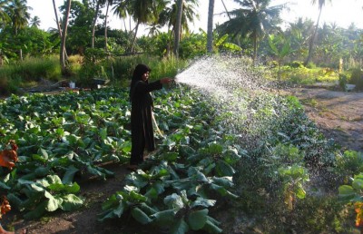ކާށިދޫގެ ދަނޑުތަކުން ވަގުން ނުގެންދާކަށް އެއްޗެއް ނެތް