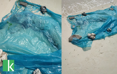 ނައިވާދޫއަށް މަރުވެފައިވާ ހަށިގަނޑެއް ލައްގައިފި