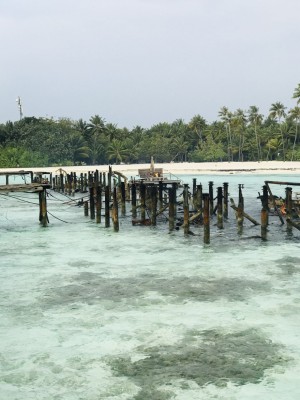 ގިލި ލަންކަންފުށީގައި ރޯވި އަލިފާންގަނޑު ނިއްވާލައިފި