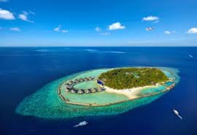އެއްލައިދޫ ރިސޯޓްގައި މީހެއްގެ މެޔަށް ވަޅި ޖަހައި މަރާލައިފި
