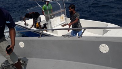 ލަނޑާ ނަގަން ފޭބި ޝާމިން ފެނިއްޖެ