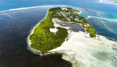 ކުއްޖާ ގޮވައިގެން "ފިލި" މީހާގެ އާއިލާއިން ބުނަނީ މައްސަލައެއް ނެތް ކަމަށް!
