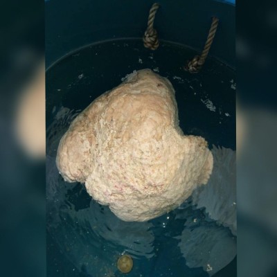 ފީވަކުން ހޮވި ބޮޑު "މާވަހަރު"ގެ ސާމްޕަލް ބޭރަށް ފޮނުވައިފި