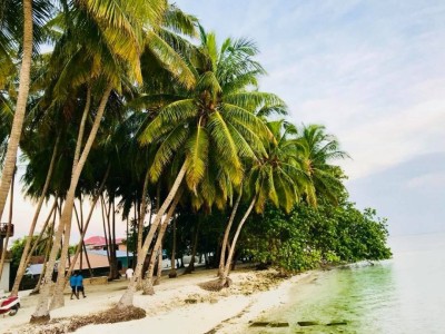 ހުރާއަށް ބަޖެޓުގައި ހުރި ކަންތައްތައް ވަރަށް އަވަހަށް ފެށިގެންދާނެ: ރައީސް
