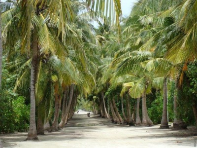 މައްސަލަ ހައްލުކުރުމަށް ހުޅުދުއްފާރަށް 400 ކިލޯވޮޓުގެ ޖެނަރޭޓަރެއް ފޮނުވައިފި