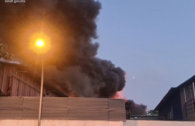 ނީލަން ފިހާރަ އަނދައި ހުލިވެއްޖެ