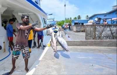 ފެލިވަރުގައި 4،000 ޓަނުގެ ކޯލްޑް ސްޓޯރޭޖް ހެދުމުގެ މަސައްކަތް އިންޑިއާގެ ކުންފުންޏަކާ ހަވާލުކުރަނީ