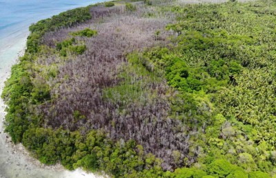 ރާއްޖޭގެ ކަނޑޫފާތަކަށް މިވަނީ ކިހިނެއް؟