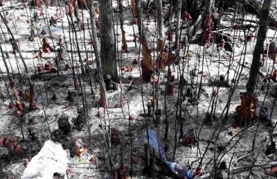 ރާއްޖޭގެ ކަނޑޫފާތަކަށް މިވަނީ ކިހިނެއް؟