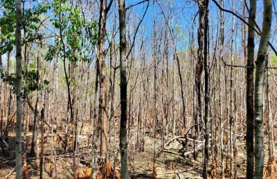 ރާއްޖޭގެ ކަނޑޫފާތަކަށް މިވަނީ ކިހިނެއް؟