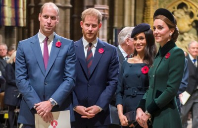 ޑަޔާނާގެ މެމޯރިއަލް ފަންޑް ވިލިއަމާއި ހެރީ އަށް ބައިކޮށްލައިފި