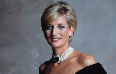 ޑަޔާނާގެ މެމޯރިއަލް ފަންޑް ވިލިއަމާއި ހެރީ އަށް ބައިކޮށްލައިފި