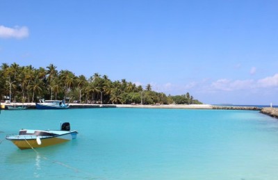 ކިނޮޅަހު ކައުންސިލަރަކު ނިޔާވެއްޖެ