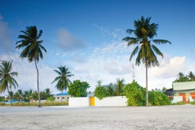 މަޑަވެއްޔާއި ހޯޑެއްދުއަށް އެއް ވިއުގައަކުން ކަރަންޓް ފޯރުކޮށްދޭން ނިންމައިފި