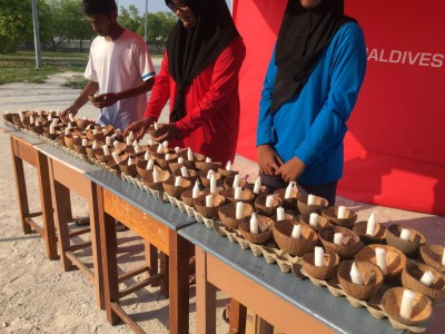 އާތު އަވާގެ ރަސްމީ އިވެންޓް ކުޅުދުއްފުށީގައި، ގިނަ ހަރަކާތްތަކަކާއެކު