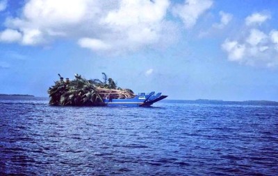 ރުއްގަސް ފޭރުމަށް ގާނޫނީ ބާރު، ބޮޑުވެގެންވާ ޖަރީމާއެއް!