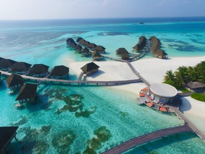 ގެނބިގެން ފަތުރުވެރިއަކު މަރުވެއްޖެ