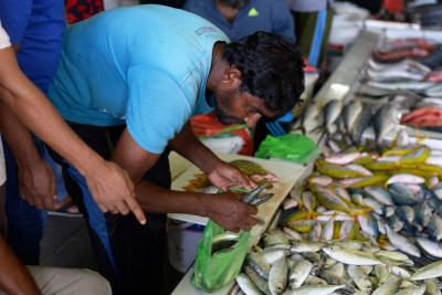 މާރުކޭޓް މަހުން ފުރާލައިފި، އަގުތައް ވެސް ހެޔޮ