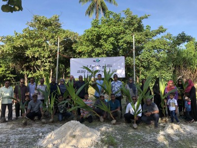 އައްޑޫ ސްކެއާ އިން ކެނޑި ކޮންމެ ރުކަކަށް ދެ ރުށް އިންދައިފި
