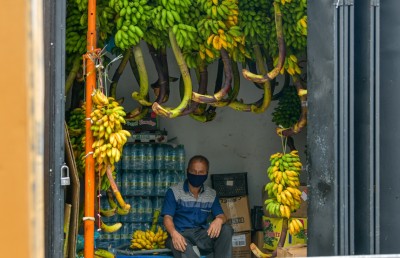 މާރުކޭޓުން ނެރެލުމުން ބިދޭސީންގެ ގޮޅިތައް މާލެ ތެރެއަށް!