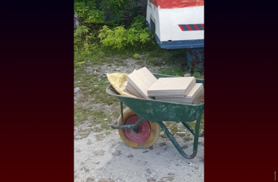 ވަގަށް ނެގި ތަށިމުށިތަކެއް ވިއްކަން އުޅުނު މީހަކު ހައްޔަރުކޮށްފި