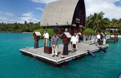 ފަތުރުވެރިއަކު ގެނބިގެން މަރުވެއްޖެ