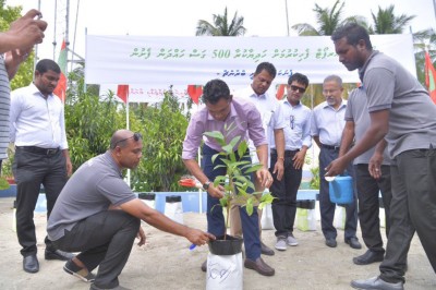 ހޯރަފުށީ އެއާޕޯޓް ފެހިކުރަން 500 ގަސް ހެއްދުމުގެ ޕްރޮގްރާމެއް ފަށައިފި