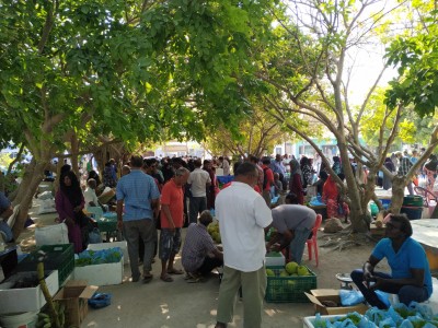 ކައުންސިލެއްގެ ނިންމުން: ވިއްސަކަށް އަހަރުގެ ސަގާފަތެއްގެ ނިމުން!