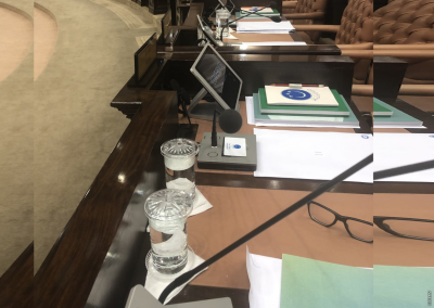 މަޖިލީހުގެ ތަޅުމުން ޕްލާސްޓިކް ފުޅި ބޭރުކޮށްފި