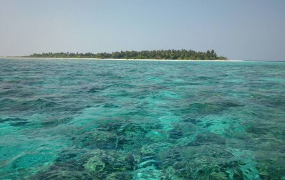 ކޮތައިފަރުގައި ރިސޯޓު ހަދާނީ އާސާރުތައް ހިމާޔަތް ކުރާގޮތަށް