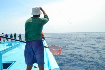 މަސްވެރިއެއްގެ ލޮލަށް ބުޅިއެއް ހެރިގެން ފަރުވާޔަށް މާލެ ގެންނަނީ