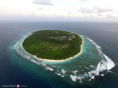 ރަށުގެ ގުދުރަތީ ރީތިކަން ގެއްލޭތީ ވަލުތެރޭ ހުންނަ ގަސްގަހާގެހި އެންދުން ހުއްޓާލަން ފިނޭ ކައުންސިލުން އަންގައިފި