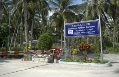 އޮޑިދޯނިފަހަރު އިންޝުއާކުރަން މާންދޫ ފިޝަރީޒުން އެދިއްޖެ