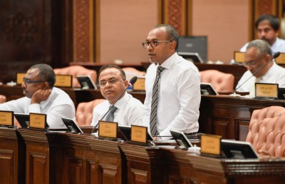 ނުކުޅެދުންތެރިކަން ހުންނަ މީހުންގެ އިނާޔަތް ބޮޑުކުރަން އެމްޑީޕީ ދެކޮޅު