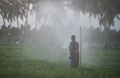 ދަނޑުތައް ވިހަވެފައި، އަހަރެމެން މިކަނީ ރައްކާތެރި އެއްޗެއްތަ؟